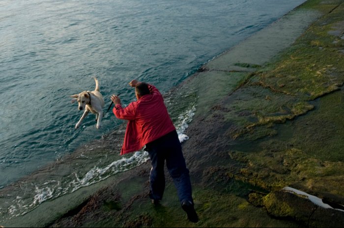 Dog Wash Tunnel